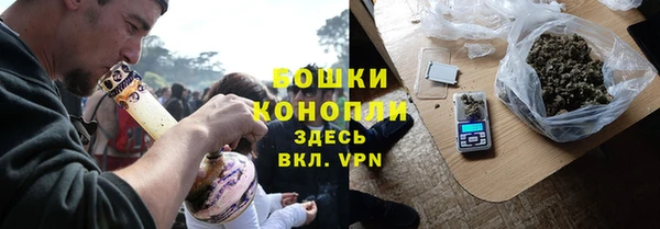 PSILOCYBIN Абаза