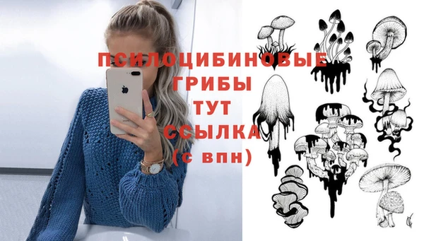 PSILOCYBIN Абаза