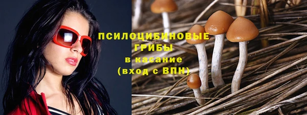 PSILOCYBIN Абаза