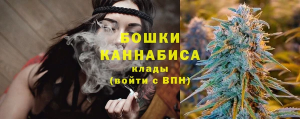 PSILOCYBIN Абаза