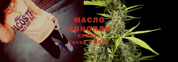 метадон Каменка